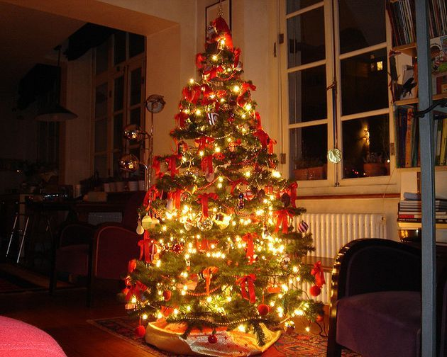 Decorazioni Natalizie Anni 50.Sotto L Albero Di Natale Anche Gli Acari Come Difendersi Capri Event