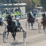 Agnano Trotto, 22 dicembre gp Royal Mares Garigliano e Family Park una lunga domenica prenatalizia